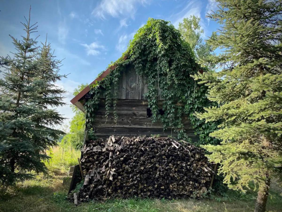 Domek W Lipiencu Razny Nowe Buitenkant foto
